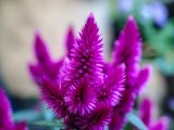 DSC03538